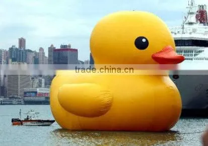 crown duck rubber duck