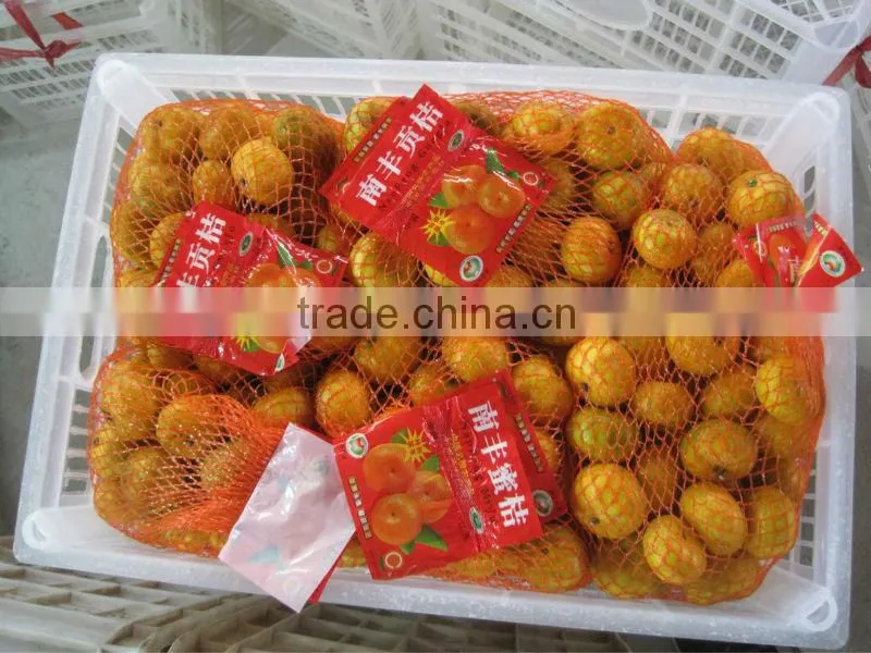 noney baby orange