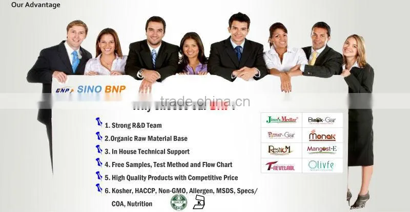 BNP Supply High Quality Reishi Mushroom Capsule