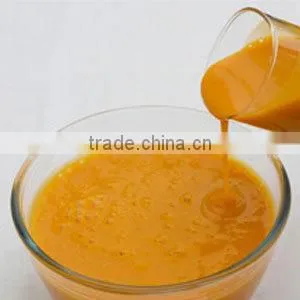 Fine Taste Indian Mango Pulp for Arab Market