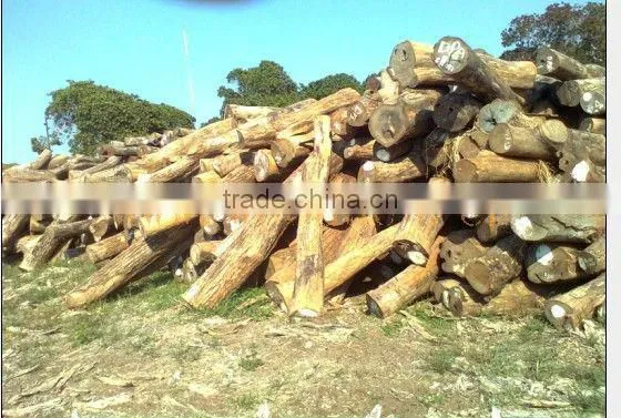 China low price wood sawdust crusher machine for making sawdust