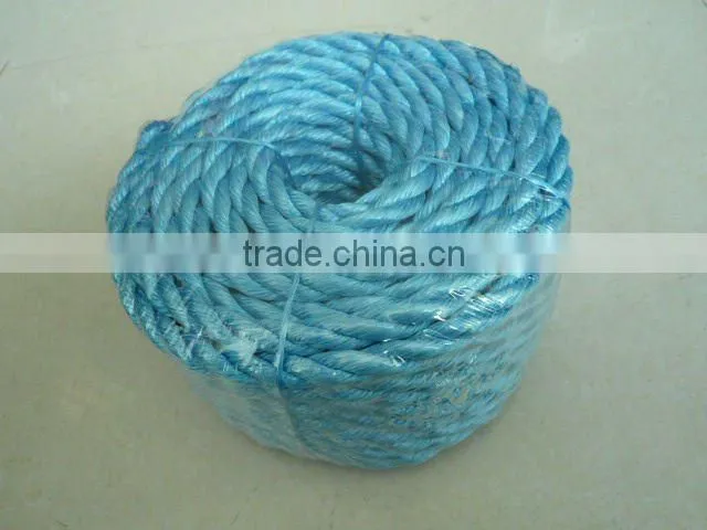 pp danline rope