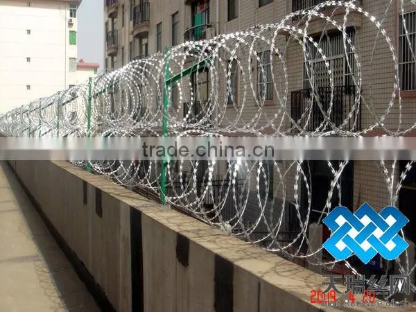 High quality galvanized razor wire with clips