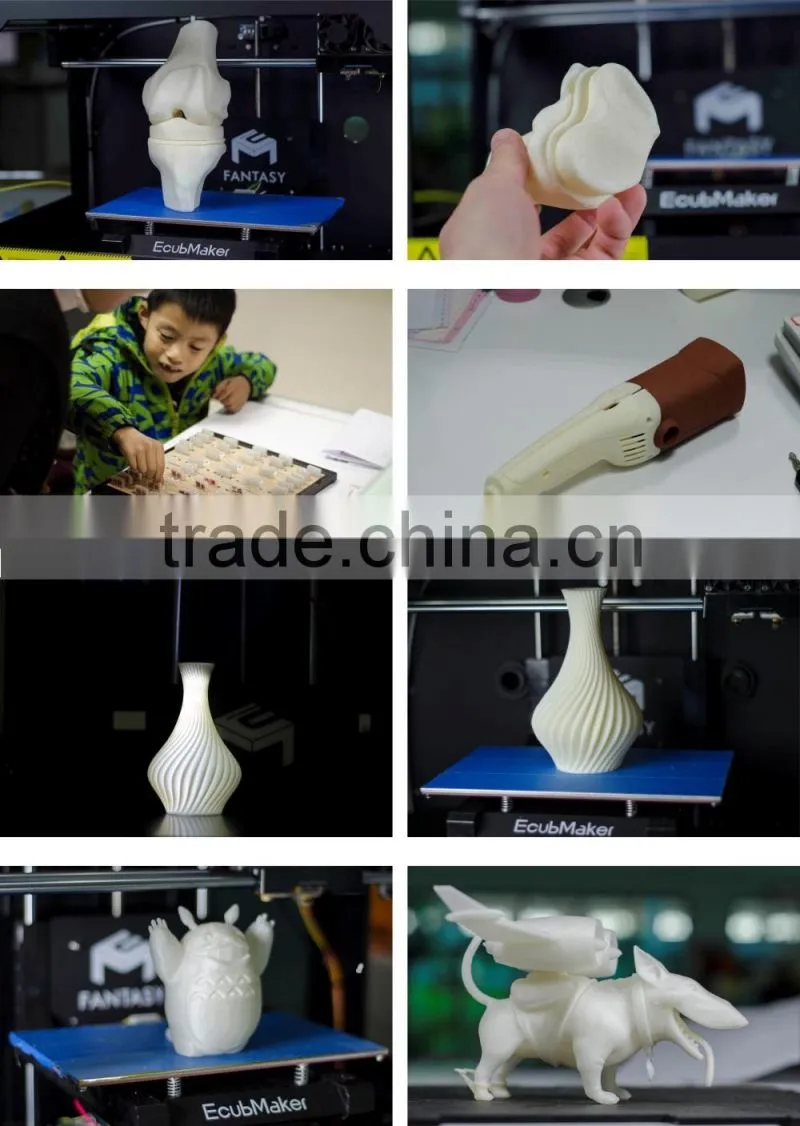 EcubMaker FANTASY Pro Dual Extruder Large Metal FDM 3D Printer Machine China for Sale 260x180x200mm Support Soluble Filament