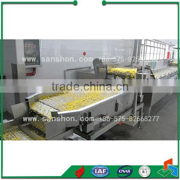 Fruits and Vegetables Processing Line