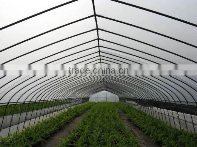 Gutter connected film vegetable greenhouse for sale