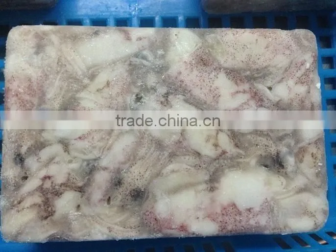 Frozen IQF north China baby squid