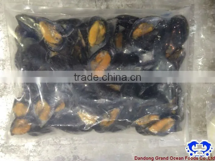 mussel in shell