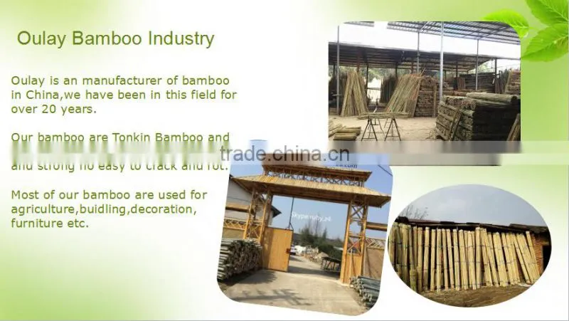 8~10mm * 120cm Dried Tonkin Bamboo Sticks