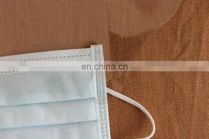 Disposable nonwoven mask with plastic shield