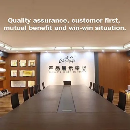 Guangzhou Chengyi Electrical Appliance Co., Ltd. company overview - view 1