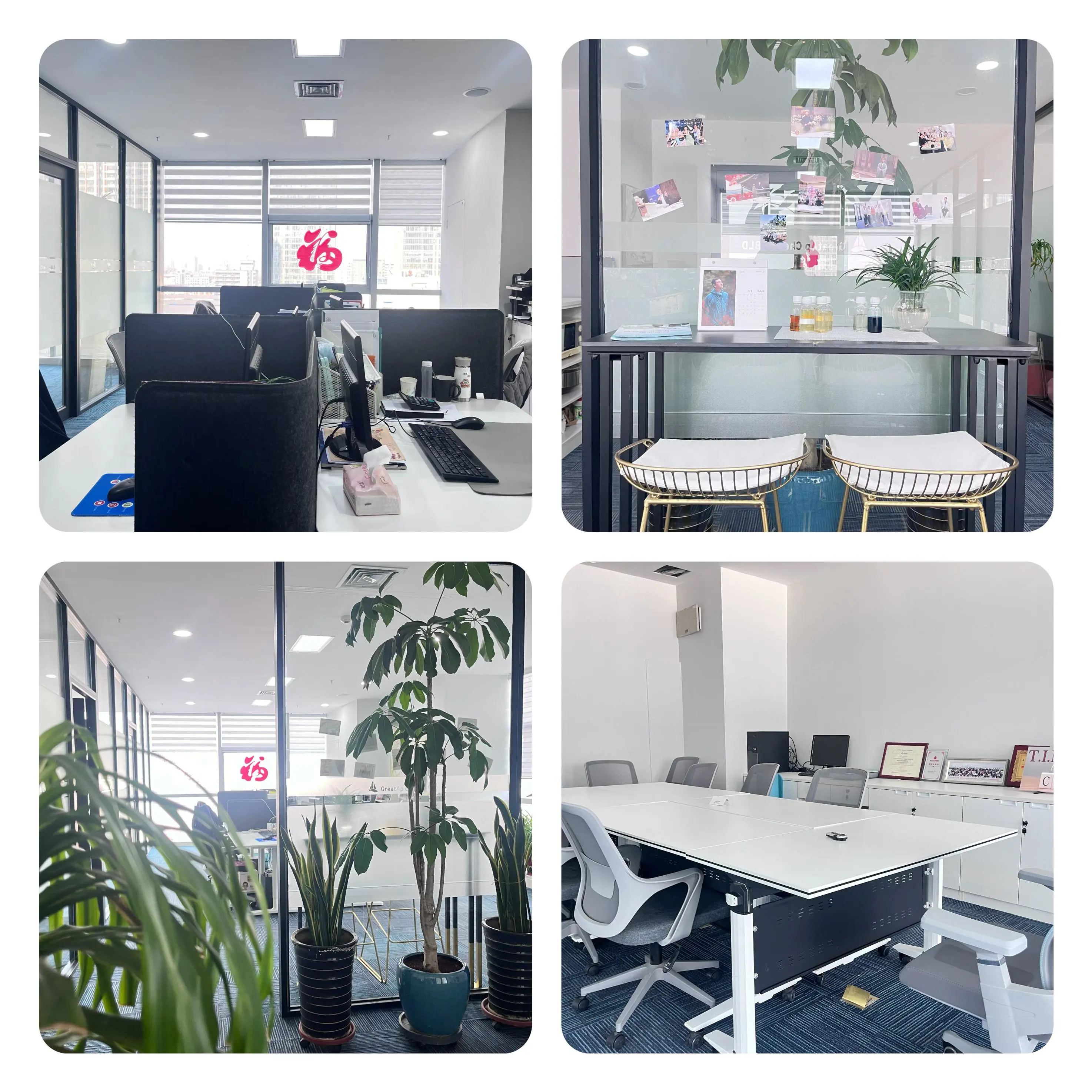 Langfang Baird Trading Co., Ltd. company overview - view 1