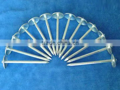 high quality and low price twisted shank roofing nail with umbrella head China factory
