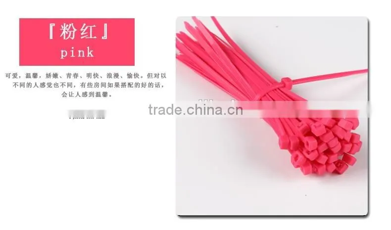 Heat Resisting Nylon 66 Cable Ties