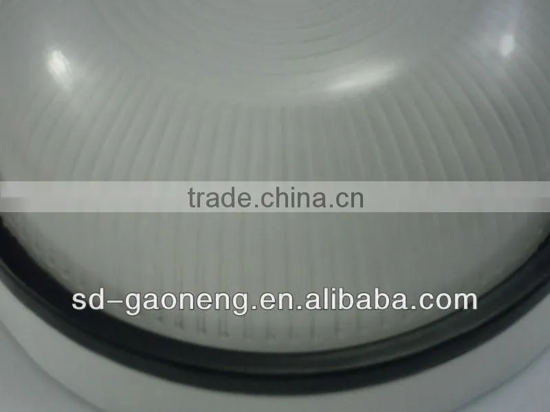 12W bulkhead light