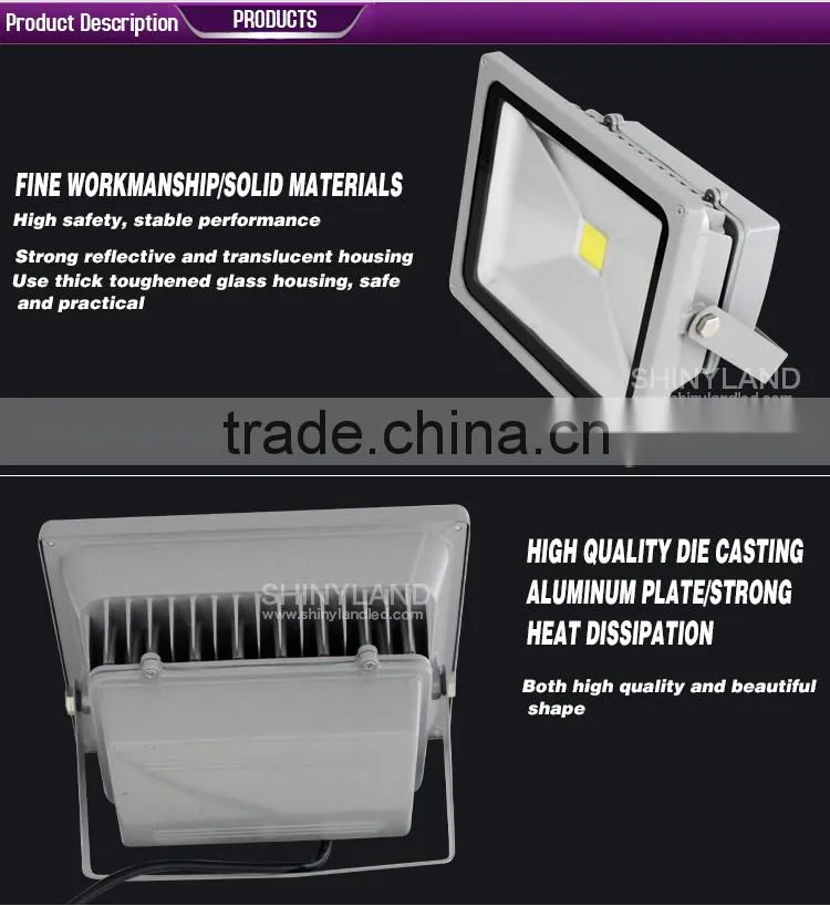 Russian distributors wanted 10w led floodlight housing with low price