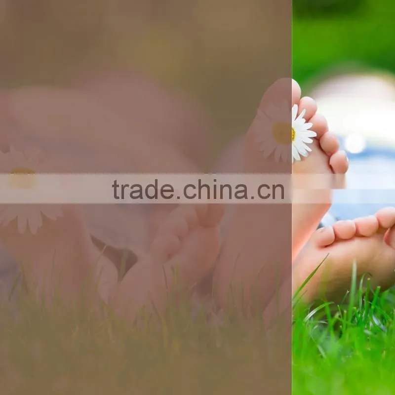 film heat resistant tea coloured plastic anti scratch film