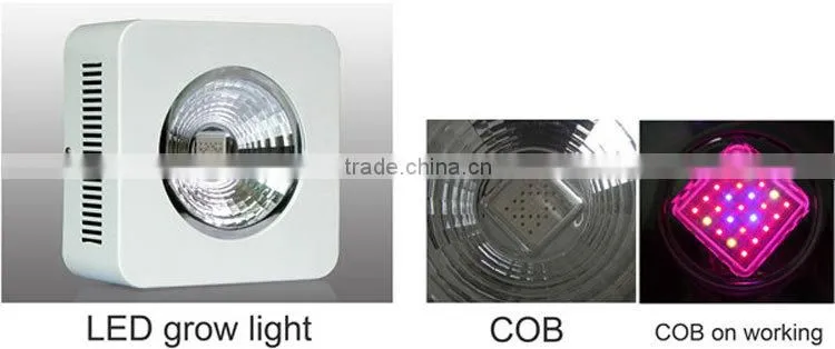 200W LED Grow Light for Greenhouse 300 watt led grow light