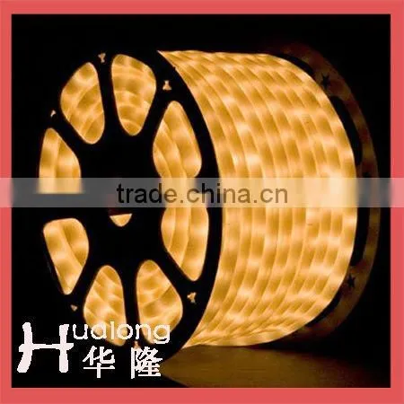 2 Wire Rope 120V Waterproof Rope Light