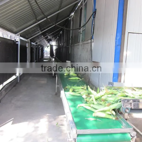 Frozen Sweet Corn kernels/sweet Corn