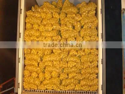 New crop fresh potato buyer with high quality