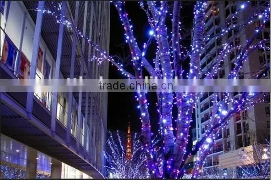 Warm White 100 LED Copper Wire led String Lights