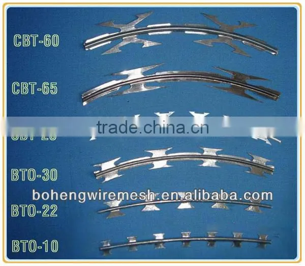 Cross Type Razor Wire Fencing for Military Base
