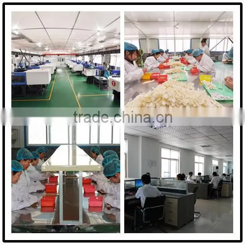 Multi Color Plastic Disposable Dental Micro Brush Applicator from China