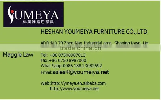 wholesale bistro chair/french chair/dining chair (YL1098-1)