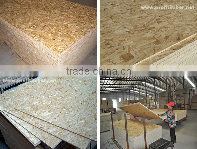 Construction water resistance osb board for sale
