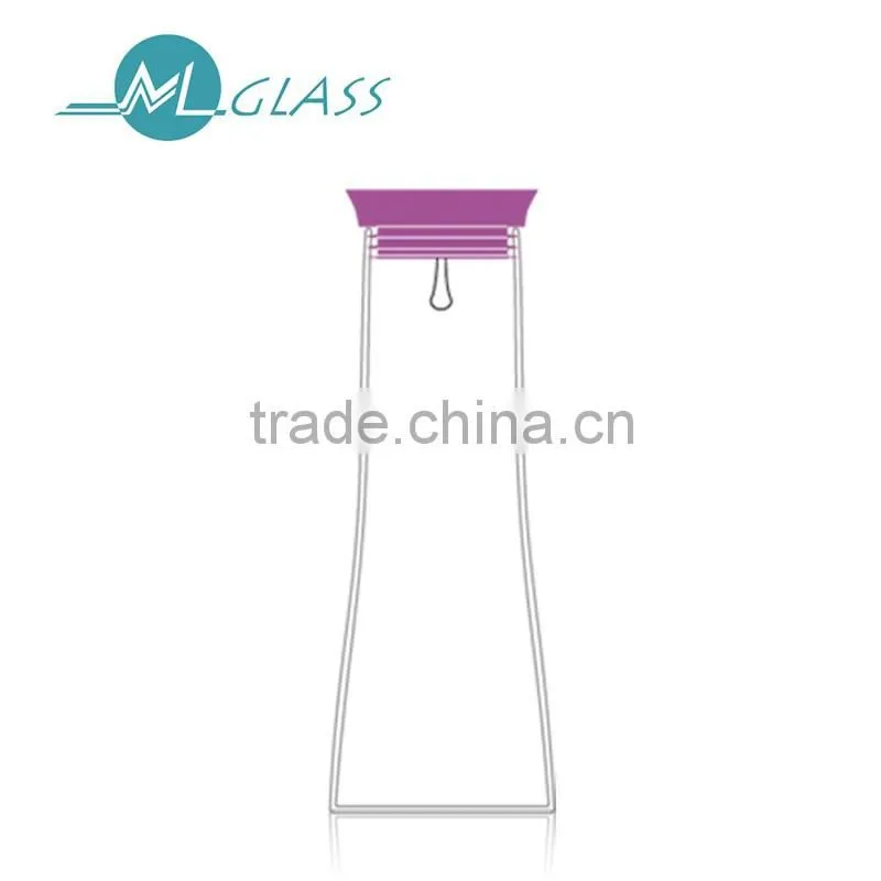 2016 New High borosilicate glass infuser water filter with lid