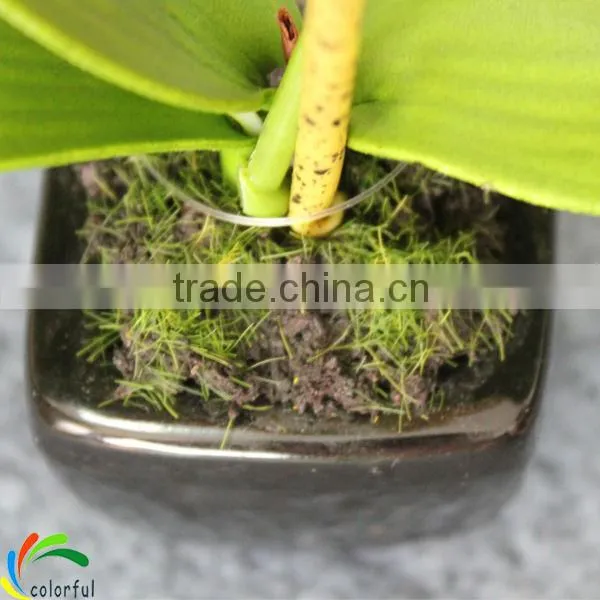 Artificial Potted Orchids