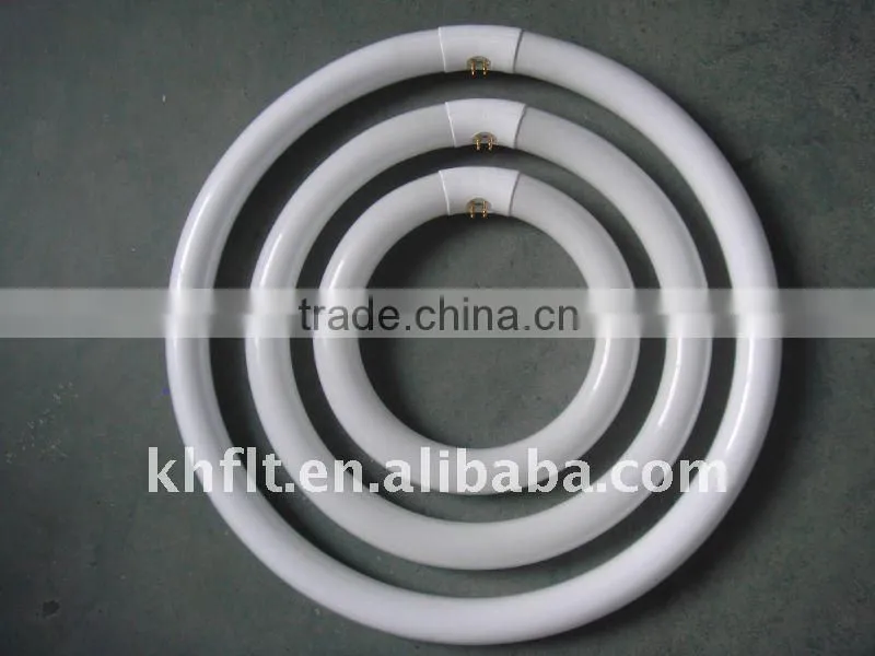 T9 CIRCULAR FLUORESCENT lamp cool light and daylight