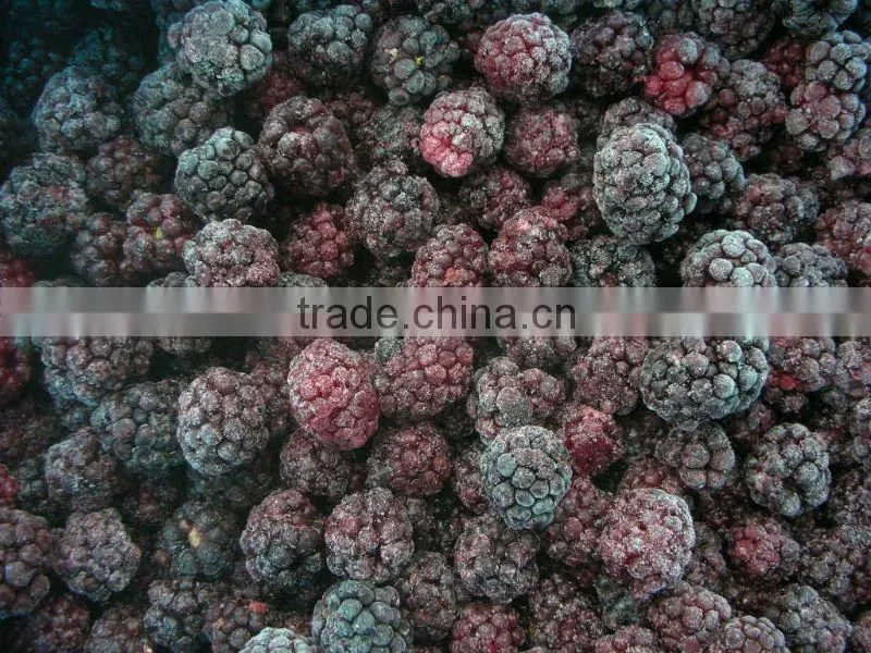 Berries Product Frozen Blackberry Grade A