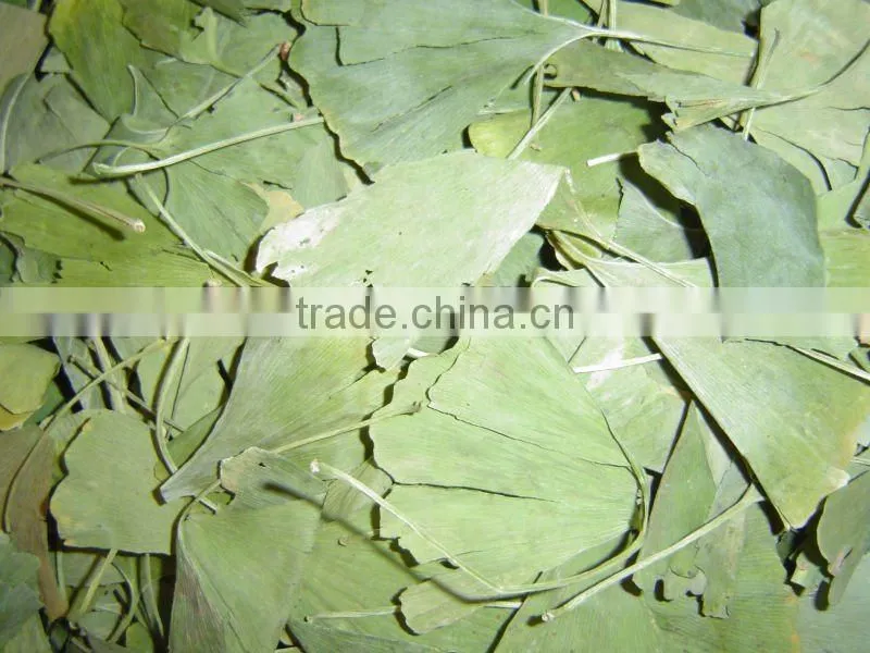 Ginkgo Biloba Extracts