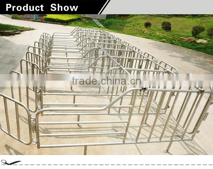 Pig Farming Equipment,Double Limiting Crate