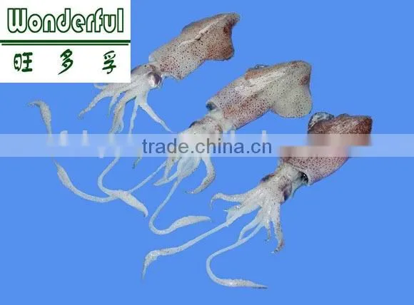 Natural Squid Liver Powder for fish feed, aquatic animal feed, squid meal price