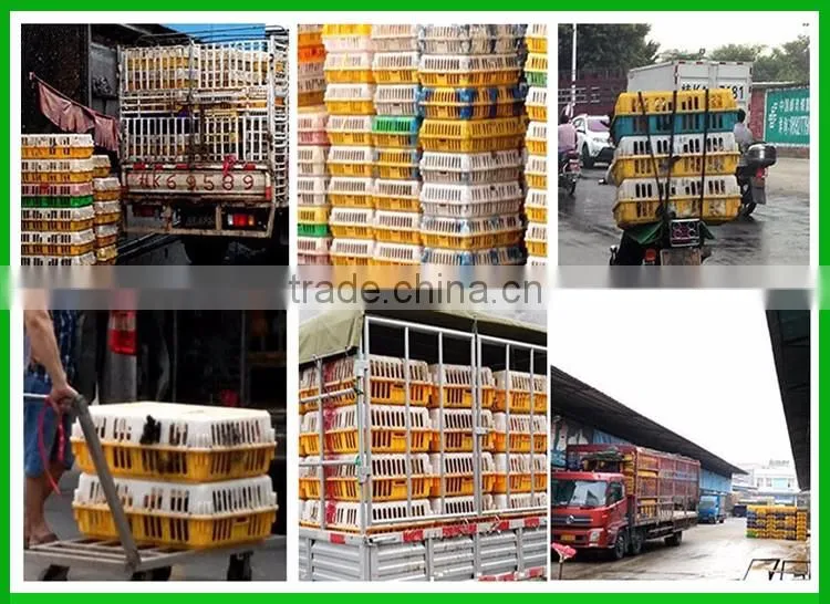 china best price plastic chicken transport cage for poultry farms