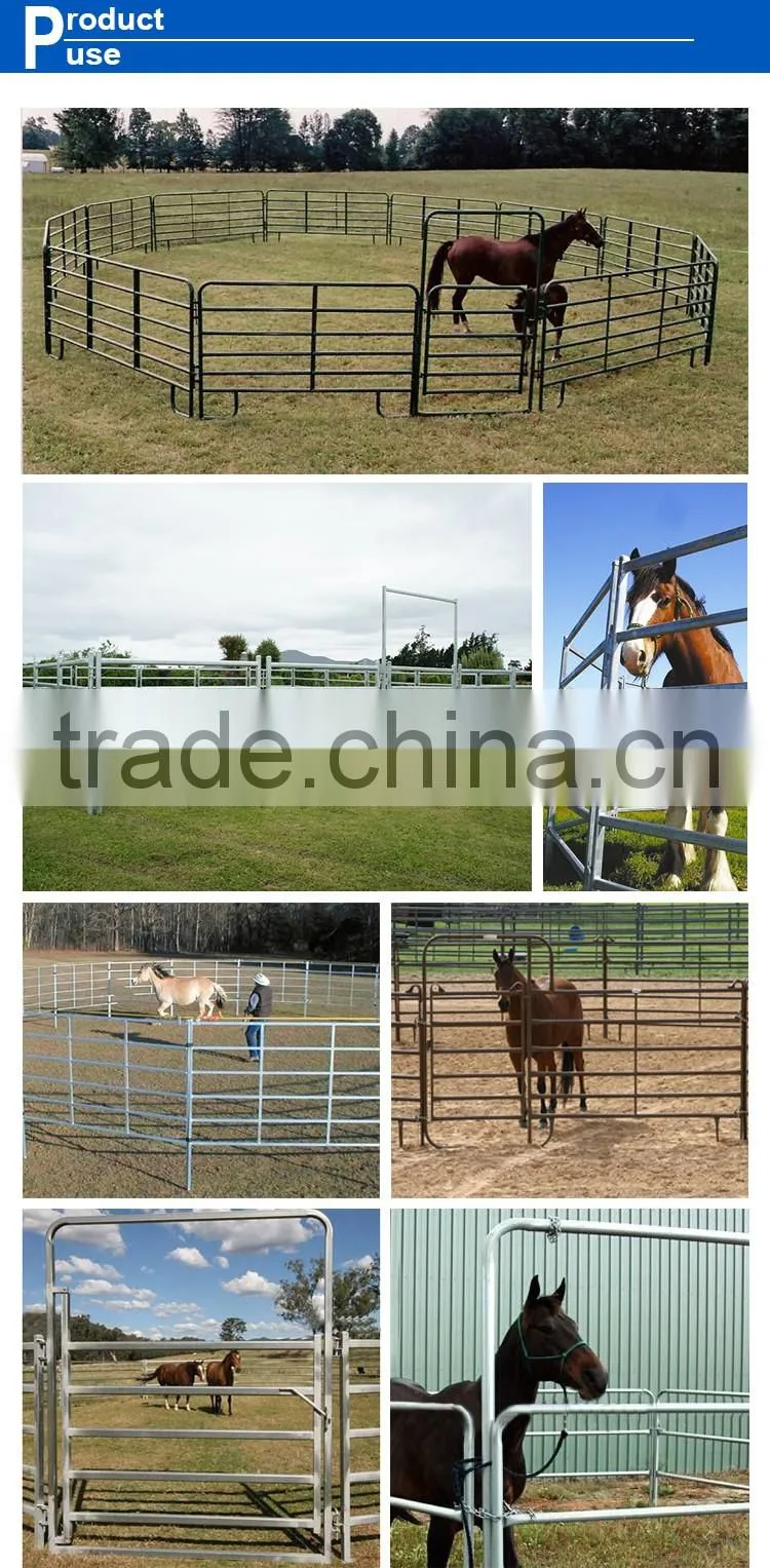 Super heavy duty hot dipped galvanized livestock cattle yard panels