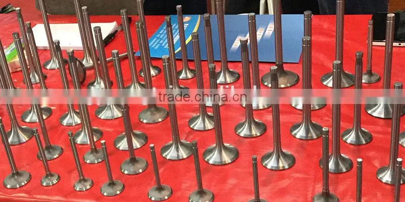 Agriculture diesel engine parts valve for tractor