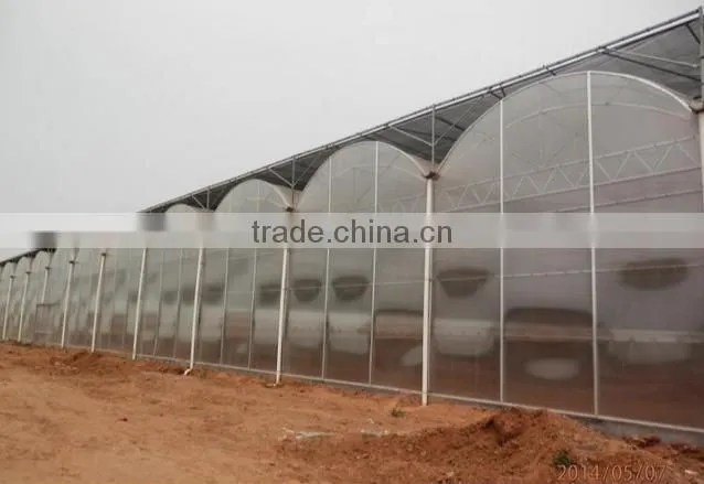 Low cost agriculture polycarbonate tunnel greenhouse