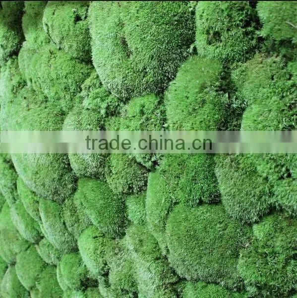 Exterior grade green walls fake green wall backdrop