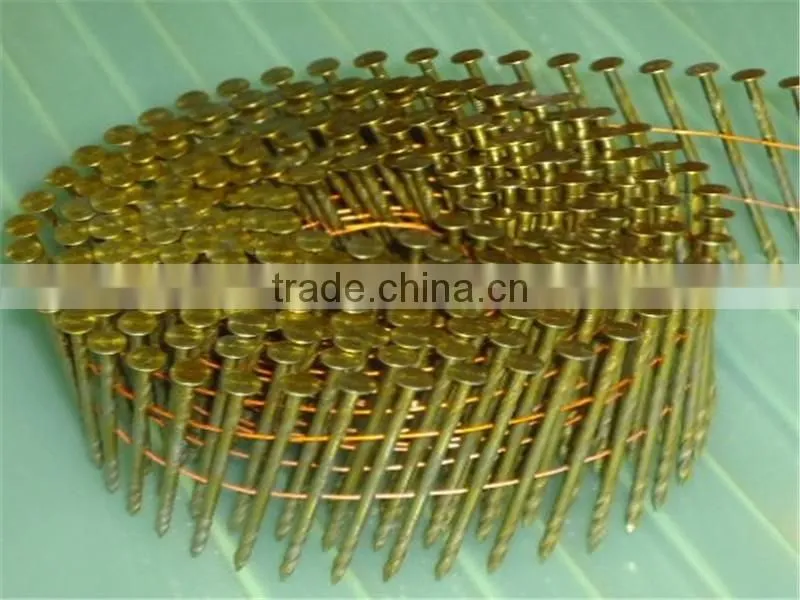 America Standard EG Roofing coil nails