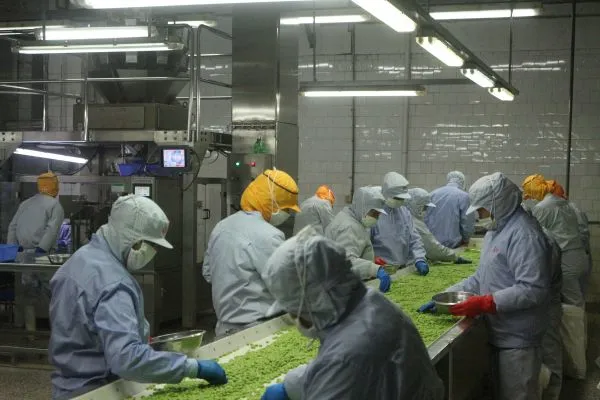 Asia Foods (nanjing) Co.,ltd company overview - view 4