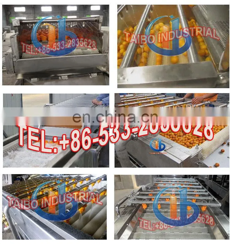 fruit washing line for oranges/lemons/citrus/avocado washing machine