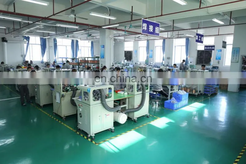 12V DC motor RS-770/775 High torque high speed fruit hand blender motor