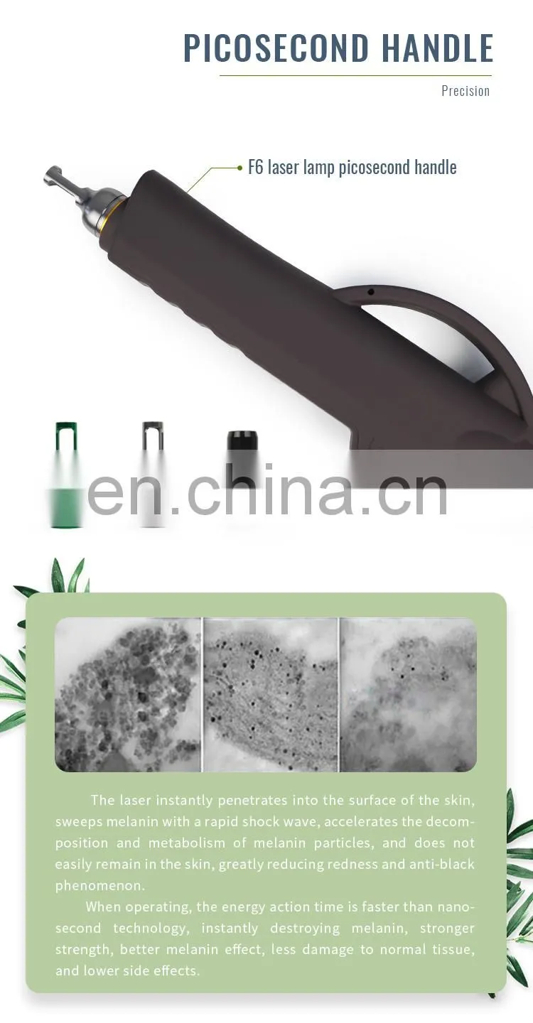 Professional Brown Style Pico Laser Tattoo Removal Solon Beauty Machine