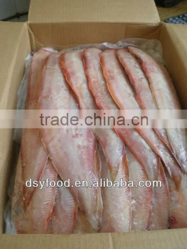 high quality frozen tongue sole fish