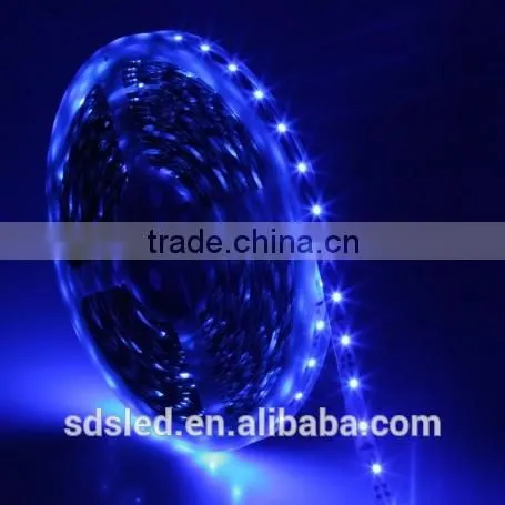 SDS IP33 flexible led strip 30LED/m DC12V Blue LED strip light 3528