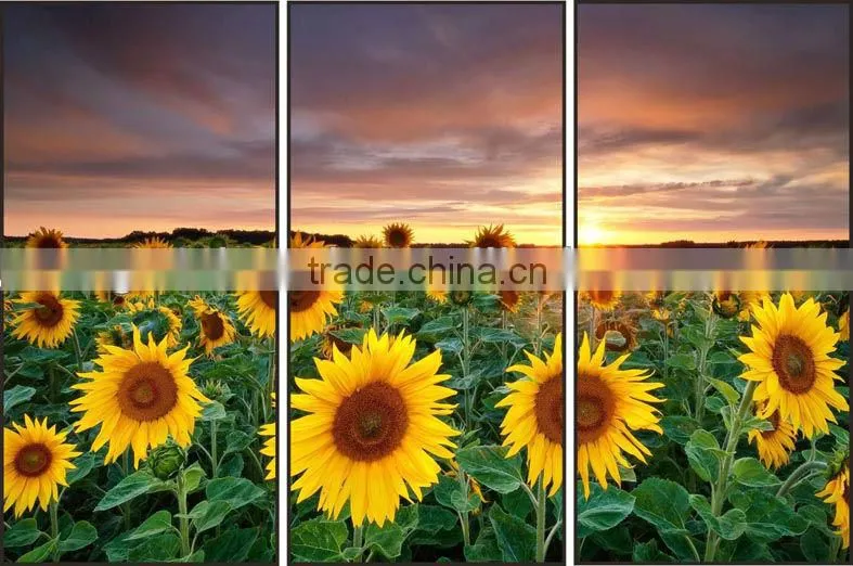 lenticular modern 3d framed picture for home decoration